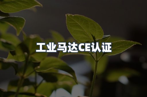 CE认证咨询服务